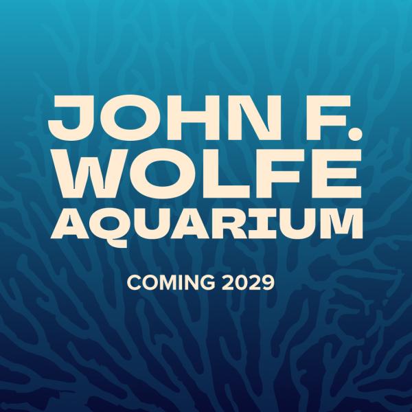 Something huge is coming to the Zoo