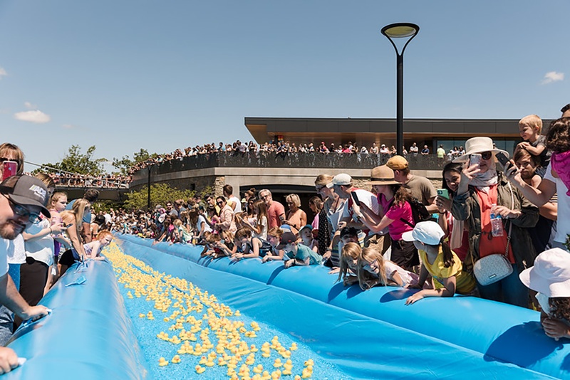Your Duck Could Win $1,000 This Saturday