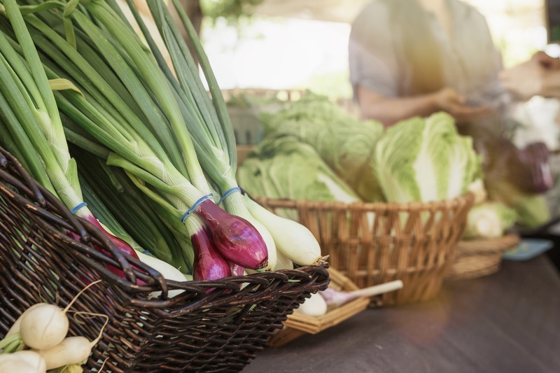 That Lettuce Bug is Bad. Dublin's Got a Fix.
