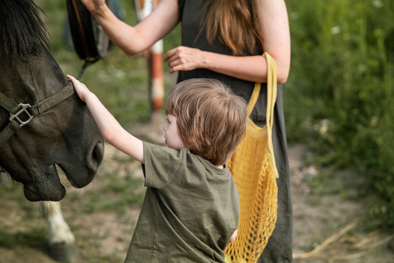 Free Pony Rides at the Coffman Homestead Sunday